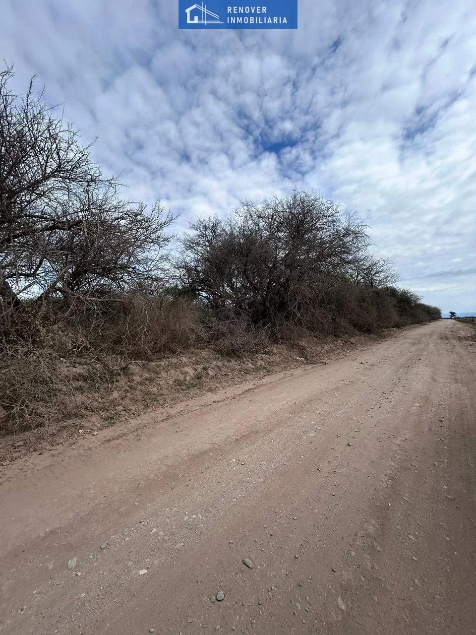 Campo en venta de 30ha ubicado en Los Molles - Imagen 3