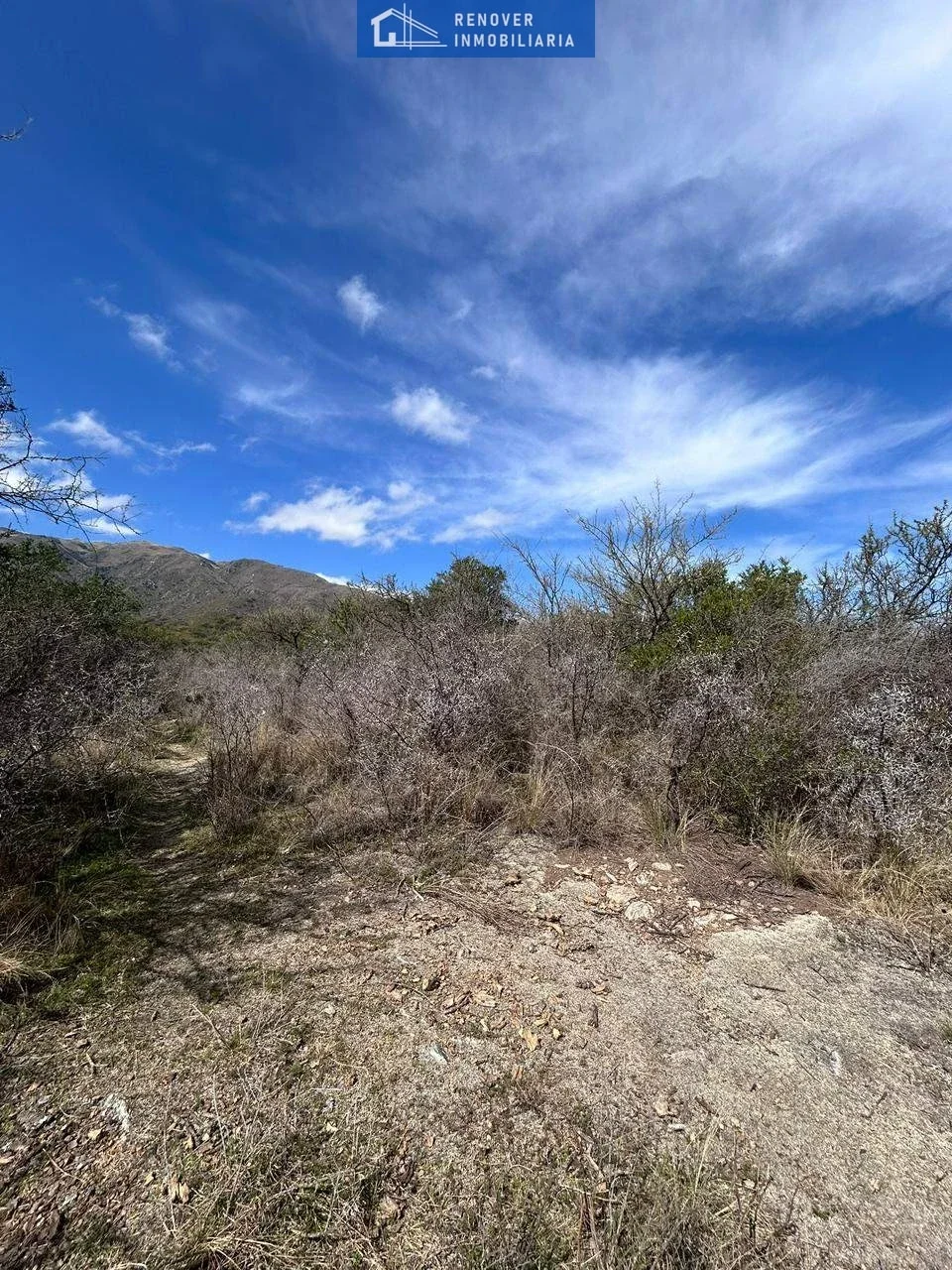 Campo en venta de 78.5ha ubicado en Los Molles - Imagen 2
