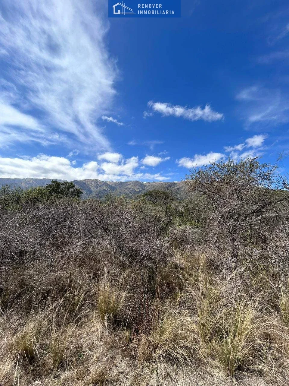 Campo en venta de 78.5ha ubicado en Los Molles - Imagen 3
