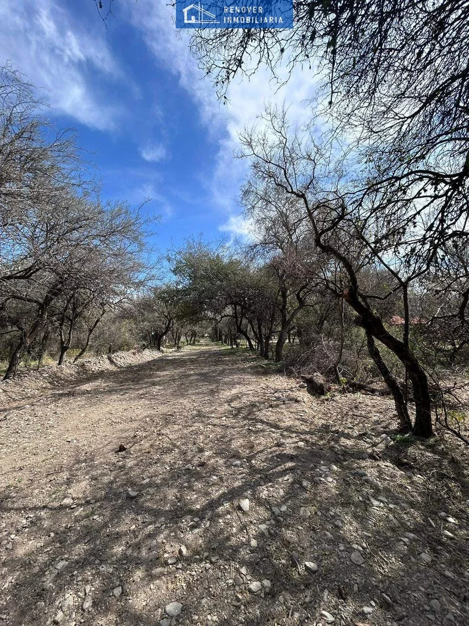 Terreno / Lote en venta de 8183m2 ubicado en Carpintería - Imagen 4