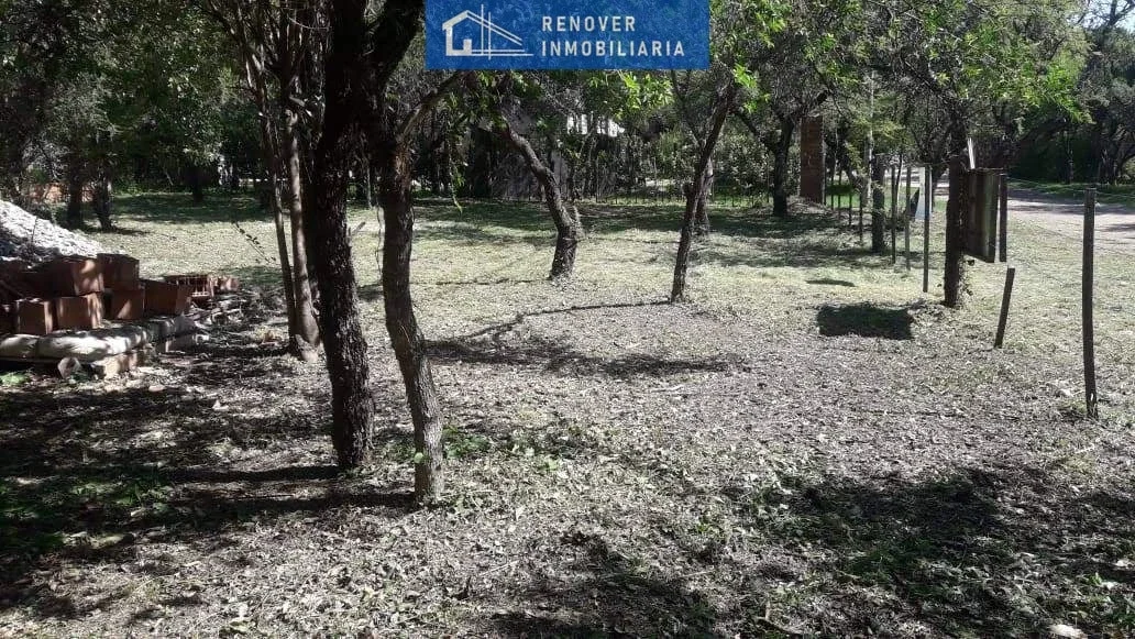 Terreno / Lote en venta de 1001.8m2 ubicado en Carpintería - Imagen 2