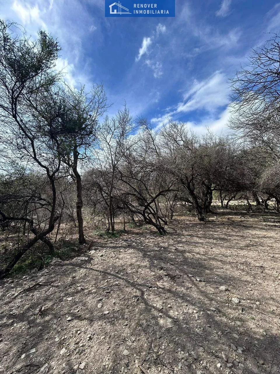 Terreno / Lote en venta de 8183m2 ubicado en Carpintería - Imagen 3