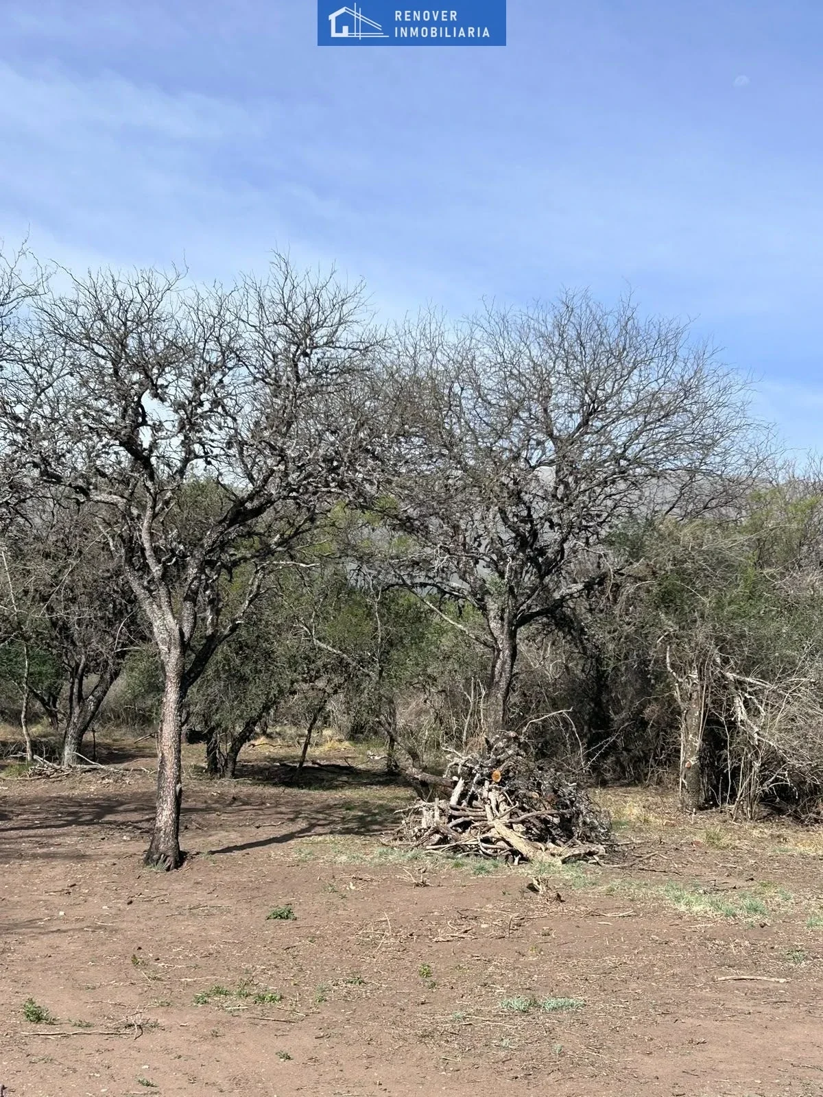 Terreno / Lote en venta de 1398.35m2 ubicado en Carpintería - Imagen 5