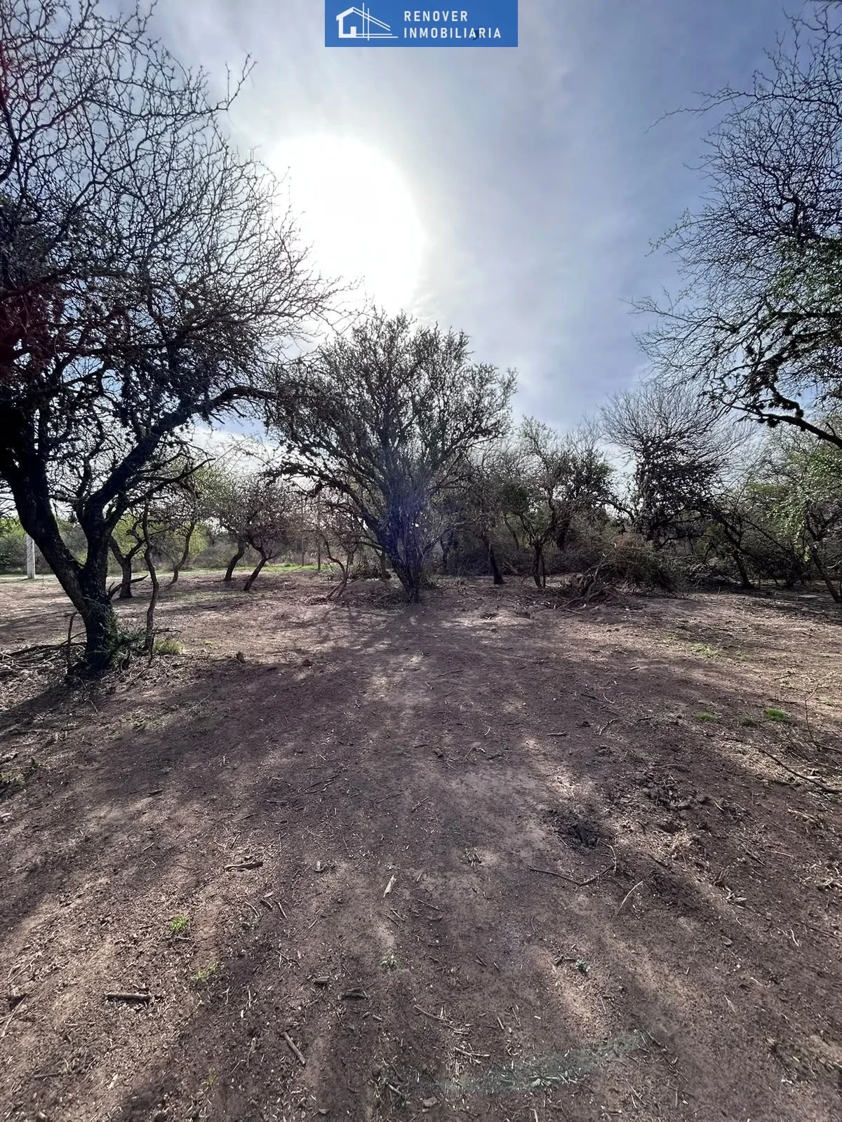Terreno / Lote en venta de 1398.35m2 ubicado en Carpintería - Imagen 4