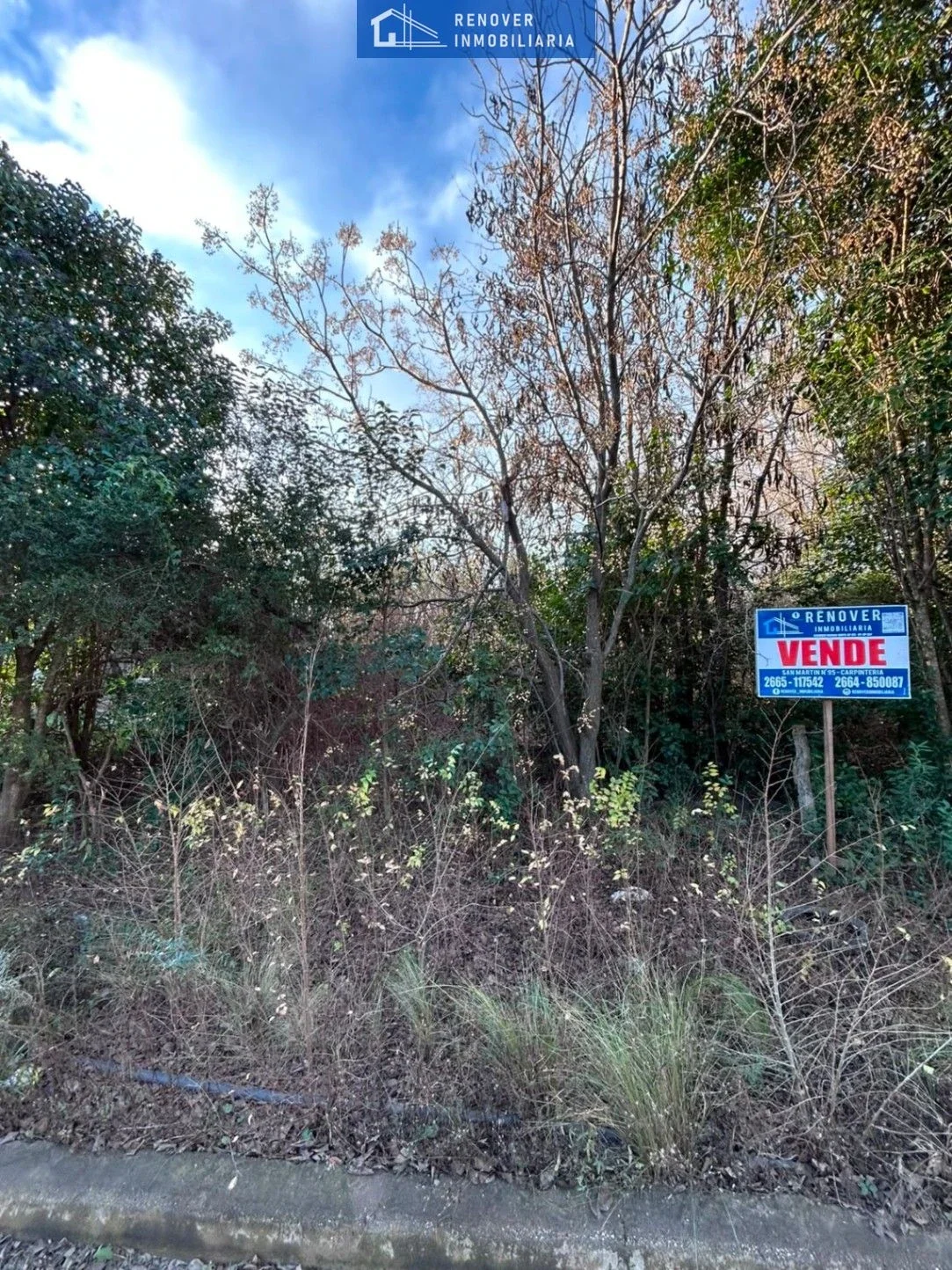 Terreno / Lote en venta de 5701.08m2 ubicado en Carpintería - Imagen 3