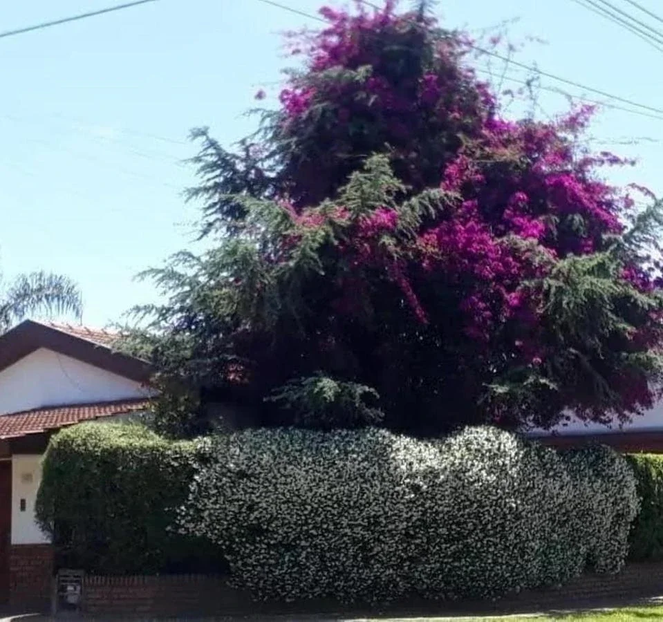 Venta Chalet 5 ambientes  cocheras San Justo - Imagen 2