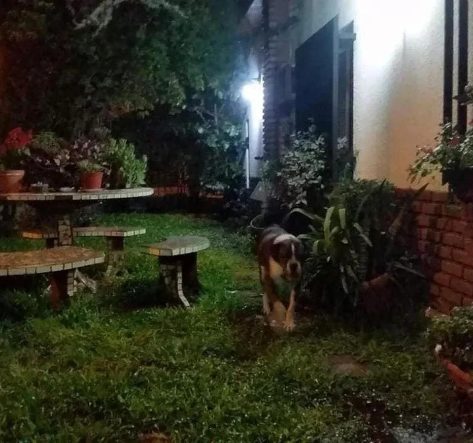 Venta Chalet 5 ambientes  cocheras San Justo - Imagen 3