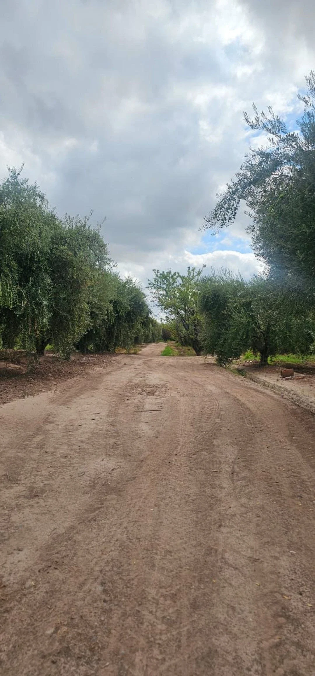 Terreno / Lote en venta de 10ha ubicado en Maipú - Imagen 4