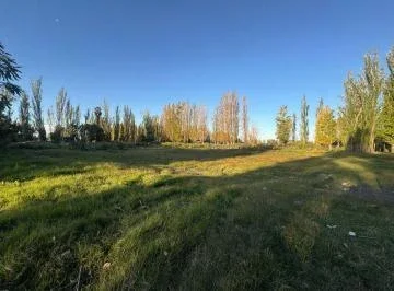 Galpón en alquiler de 300m2 ubicado en Los Corralitos - Imagen 3