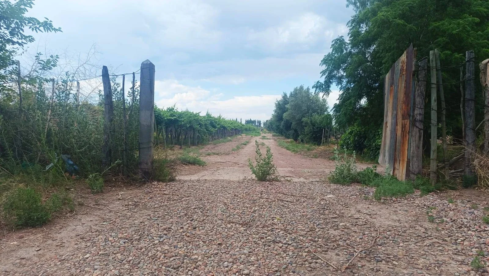 farmstead en Colonia Segovia - Imagen 1