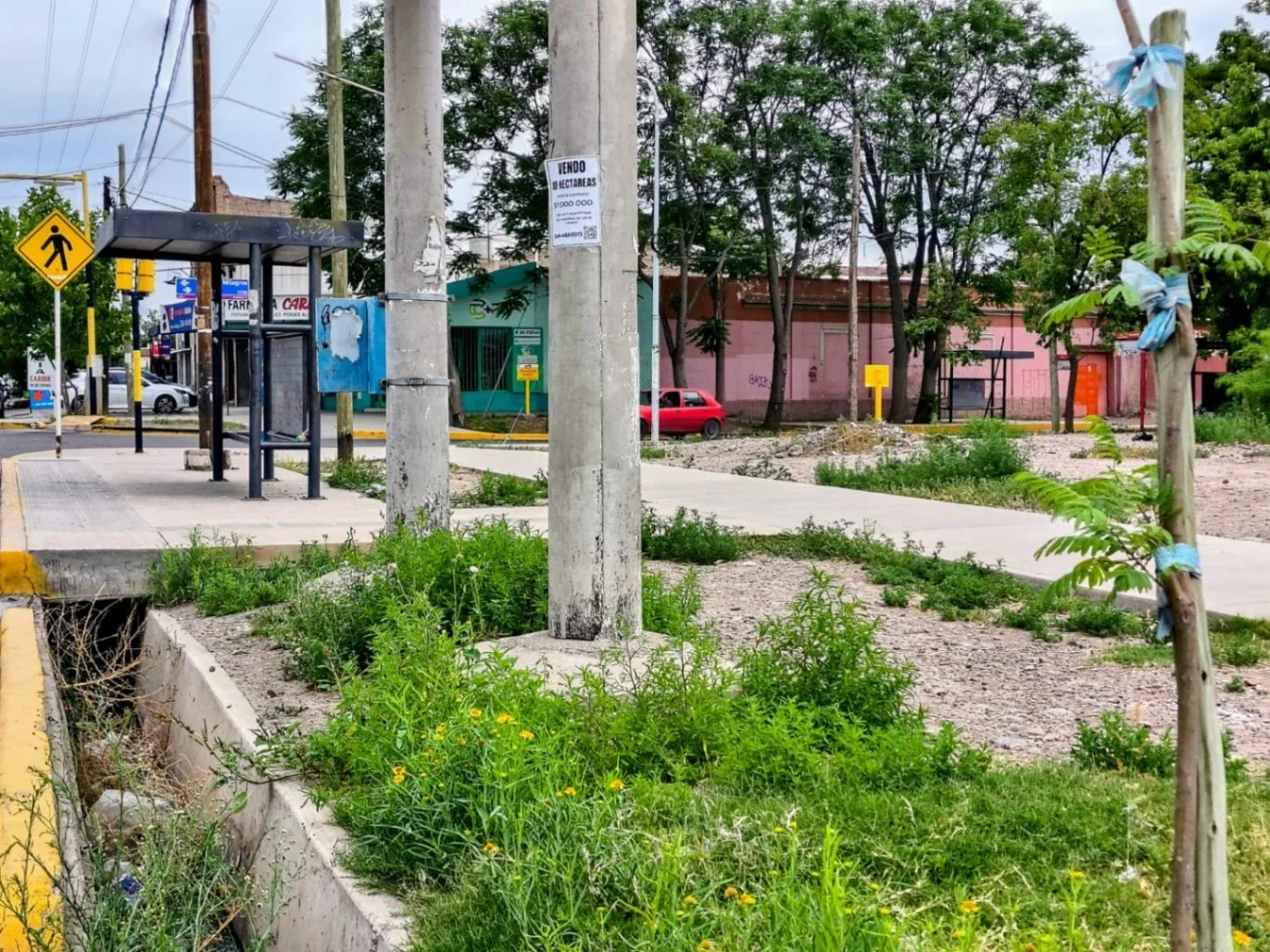 Terreno / Lote en venta de 53200m2 ubicado en Rodeo de la Cruz - Imagen 4