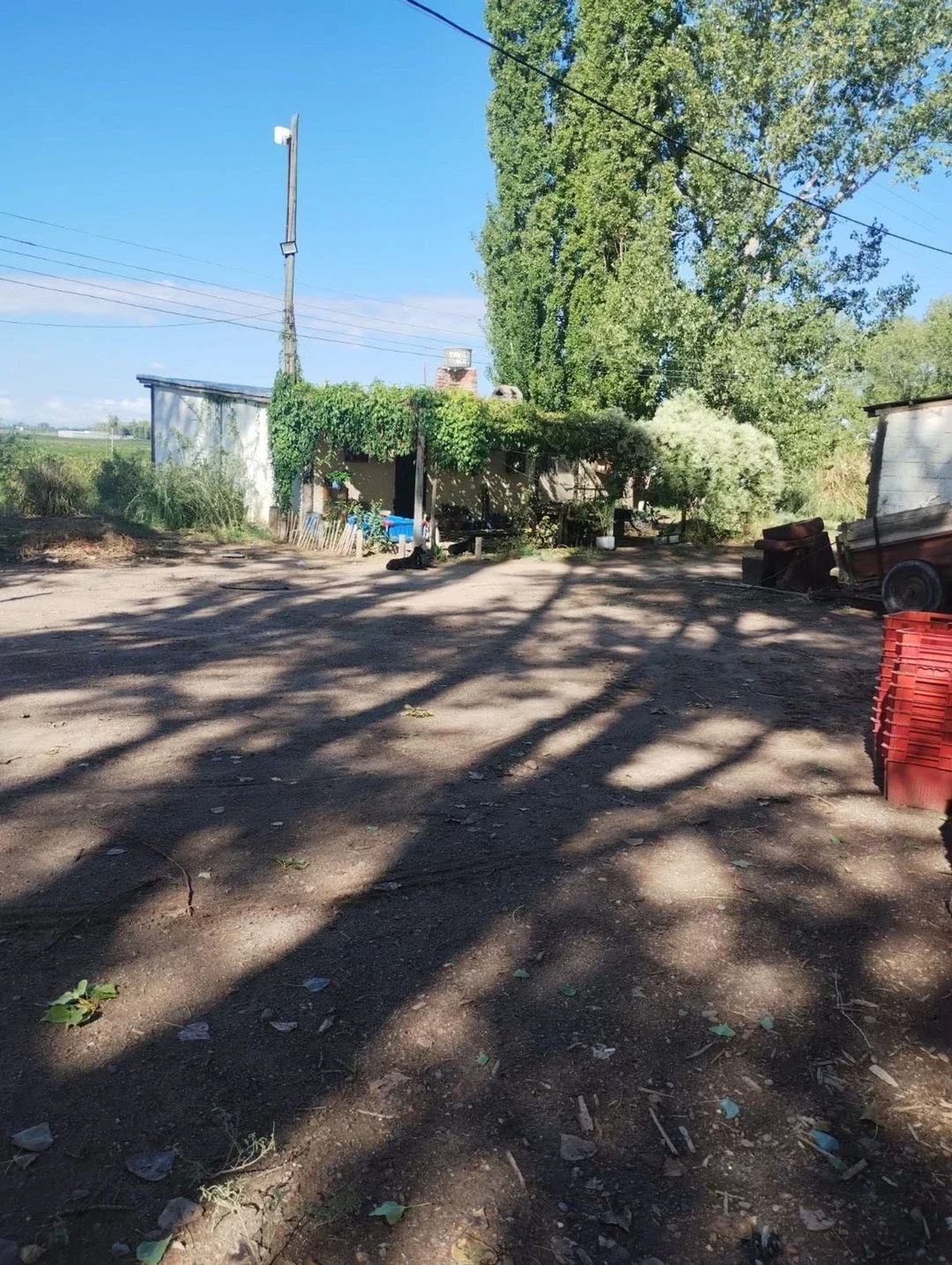 Venta de finca de 27 hectáreas en Ugarteche, Luján de Cuyo, Mendoza - Imagen 5