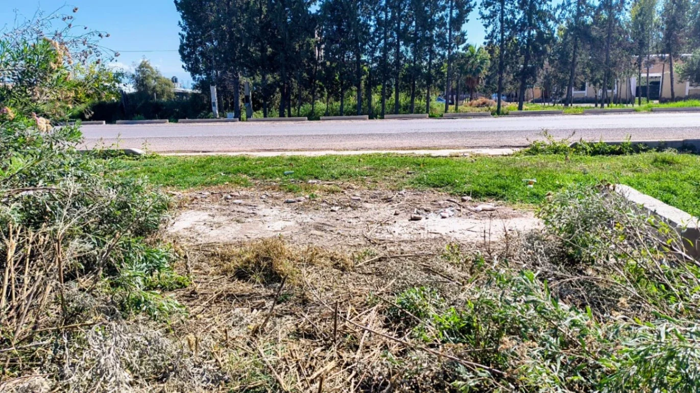 Terreno / Lote en venta de 8800m2 ubicado en Los Corralitos - Imagen 4