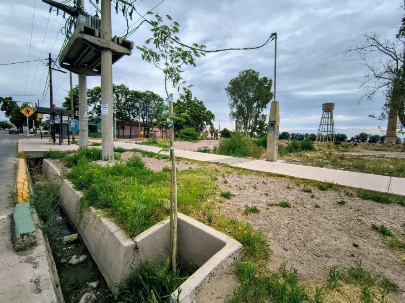 Terreno / Lote en venta de 53200m2 ubicado en Rodeo de la Cruz - Imagen 3