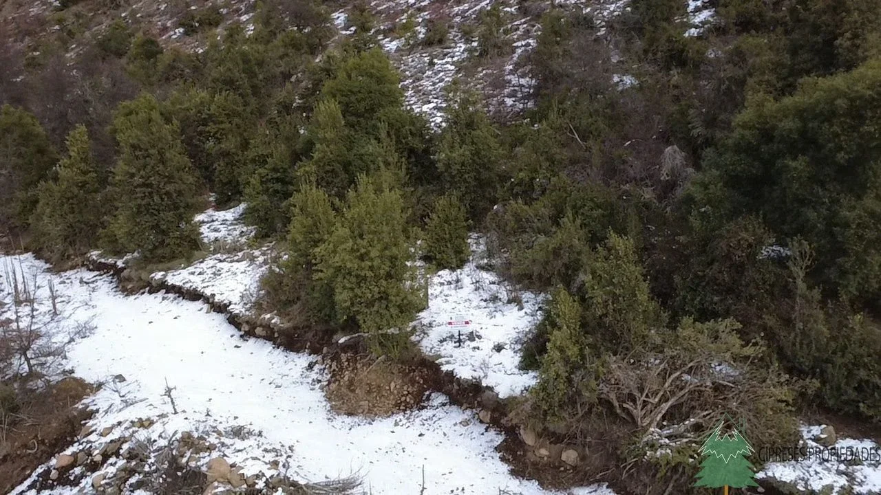 Oportunidad en Kaleuche  Lote de 676m2 -San Martin de los Andes - Imagen 2