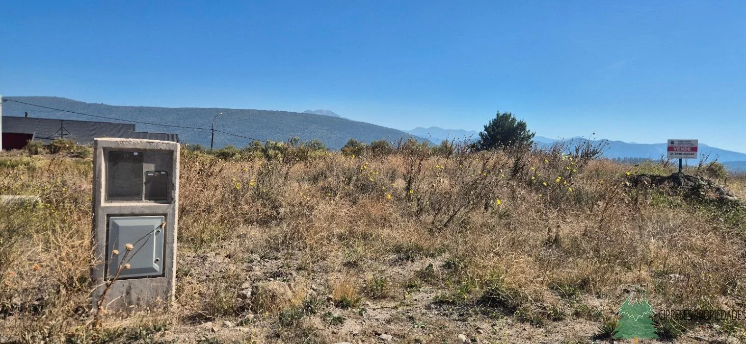 Los Molles - Lote Plano de 315m2 - San Martin de los Andes - Imagen 1