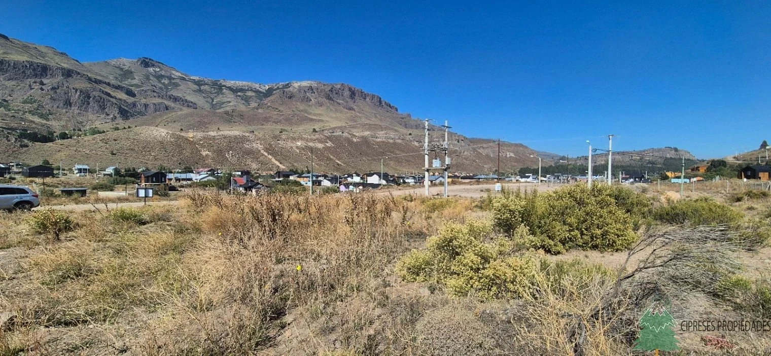 Los Molles - Lote Plano de 315m2 - San Martin de los Andes - Imagen 4