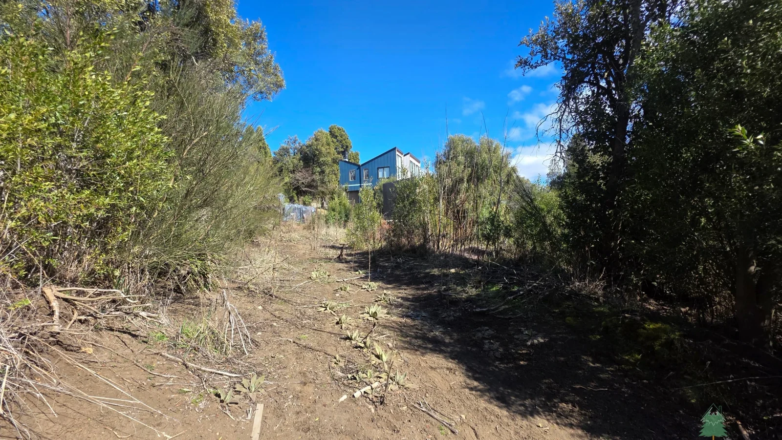 Los Riscos, terreno 842m2 - San Martin de los Andes - Imagen 4