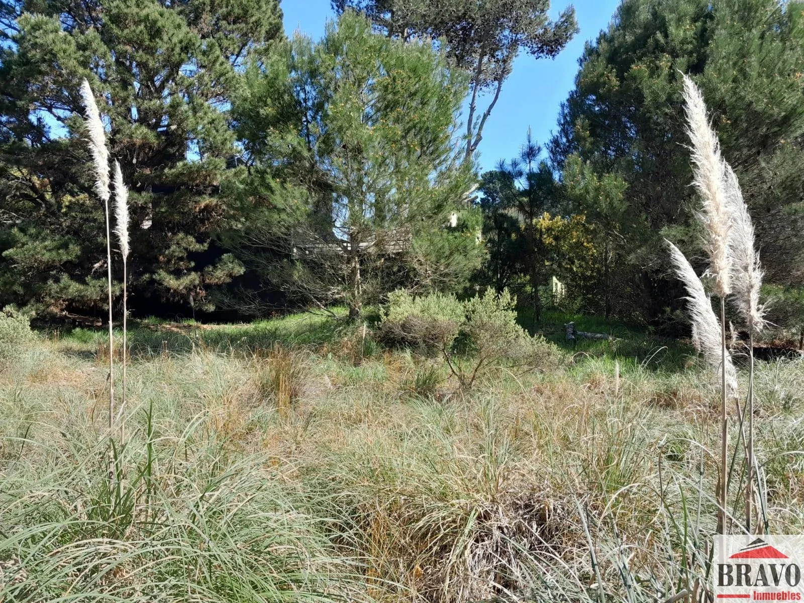 Terreno / Lote en venta en Mar Azul - Imagen 4