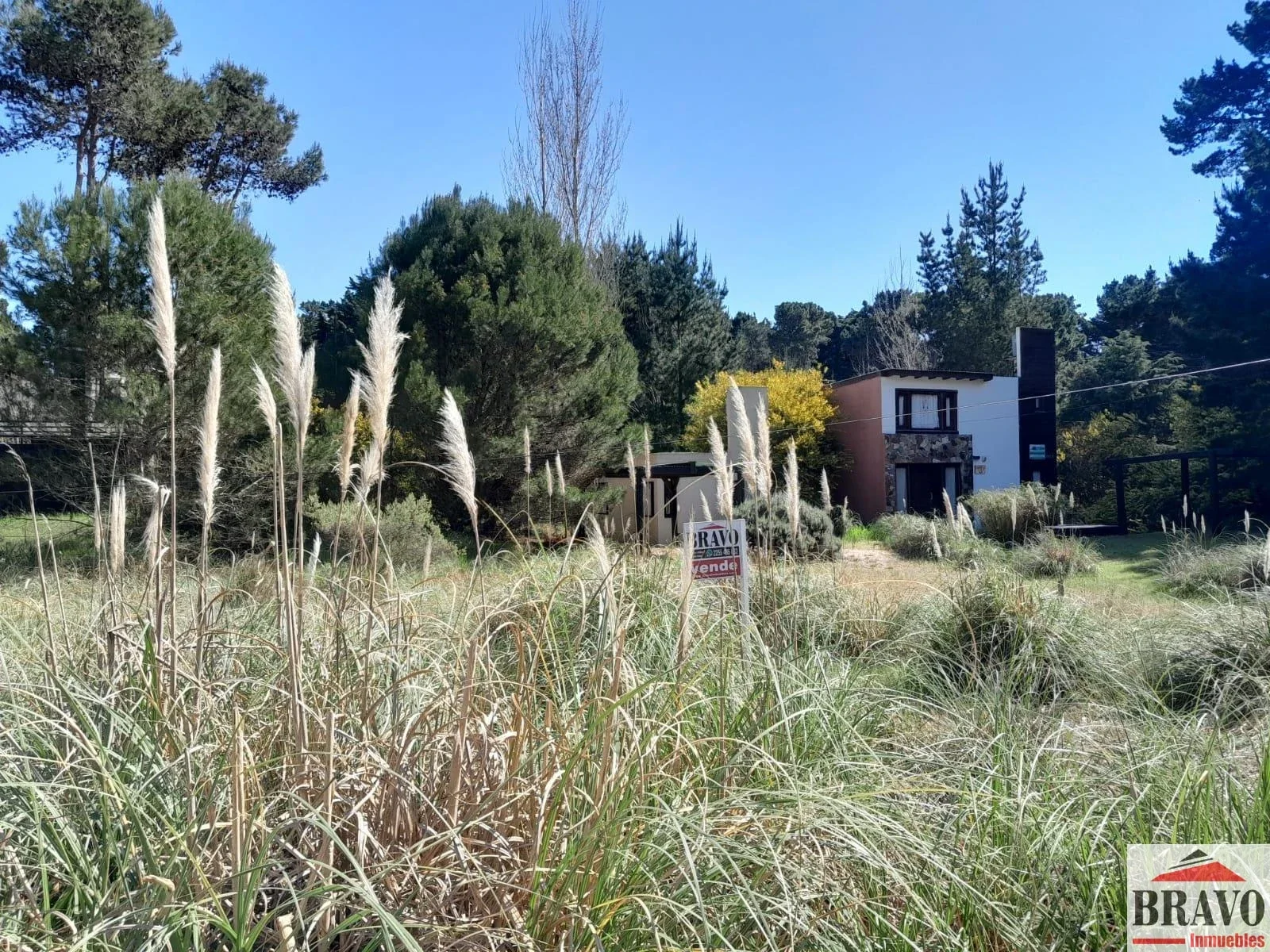 Terreno / Lote en venta en Mar Azul - Imagen 3