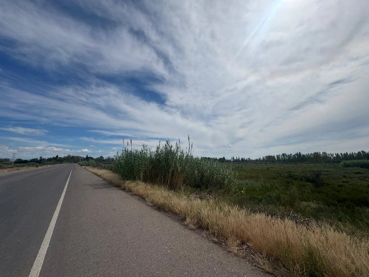 Terreno / Lote en venta de 170000m2 ubicado en Barrancas - Imagen 2