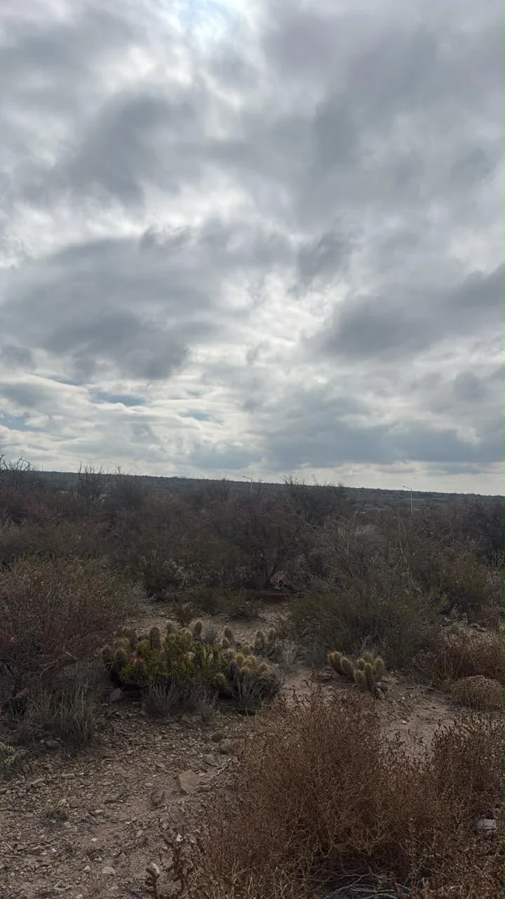 Terreno / Lote en venta de 550m2 ubicado en Las Heras - Imagen 4