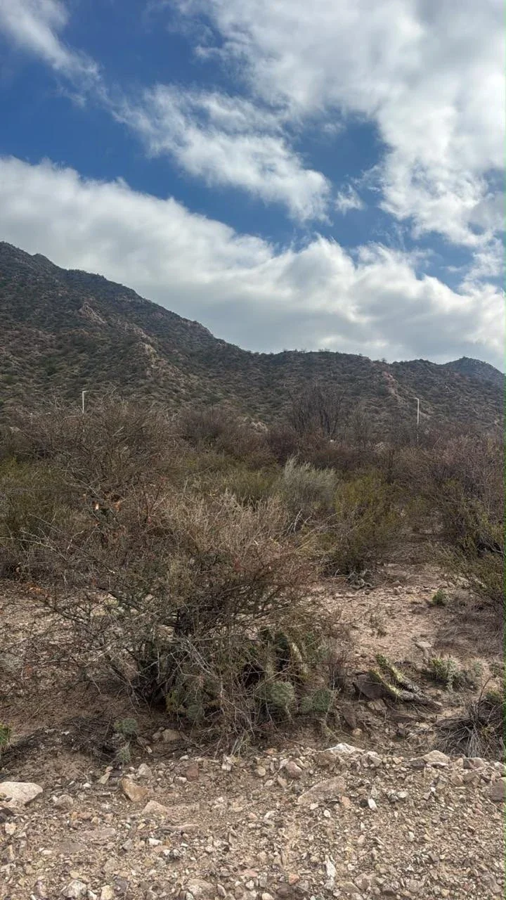 Terreno / Lote en venta de 550m2 ubicado en Las Heras - Imagen 2
