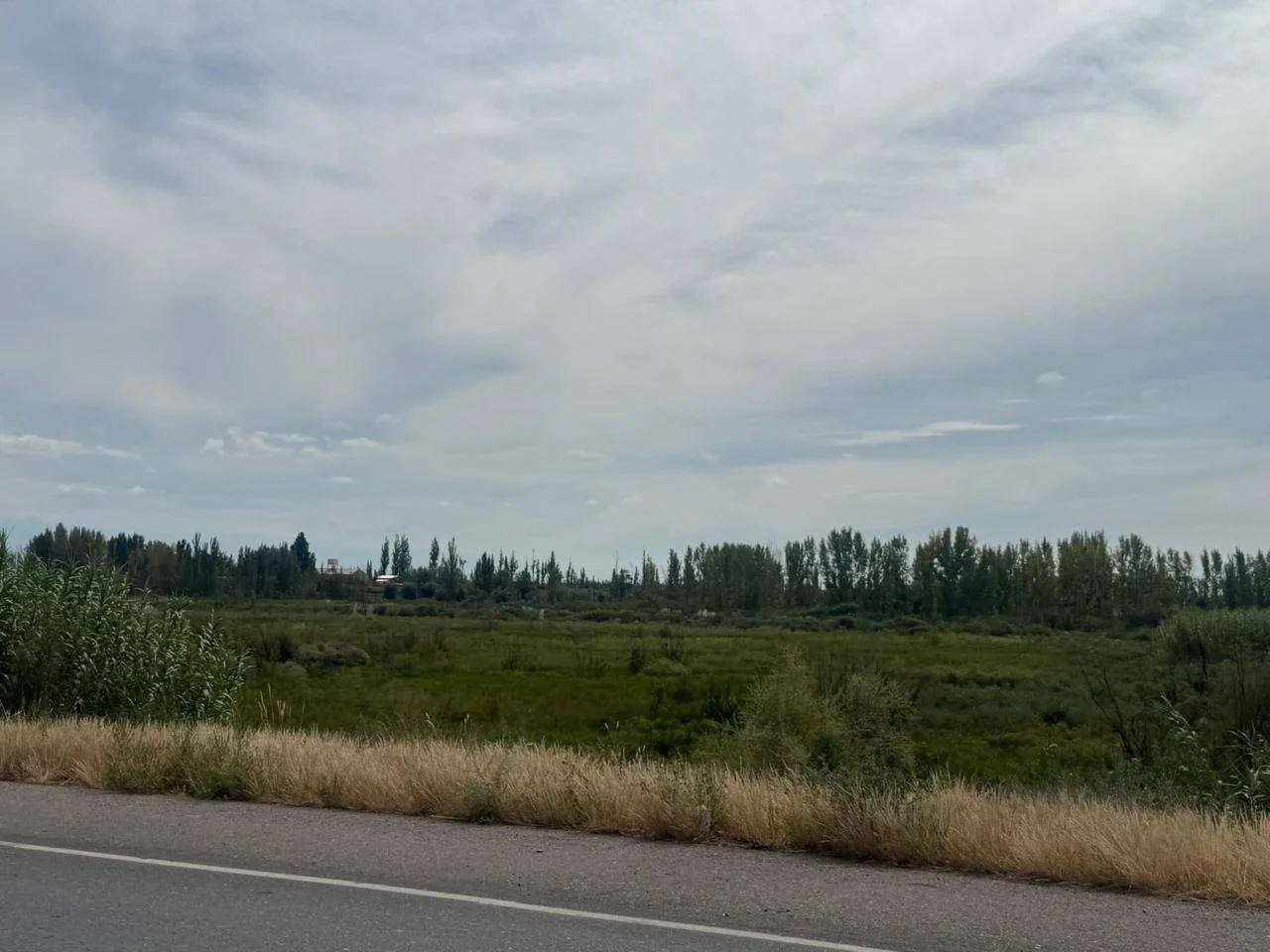 Terreno / Lote en venta de 170000m2 ubicado en Barrancas - Imagen 4