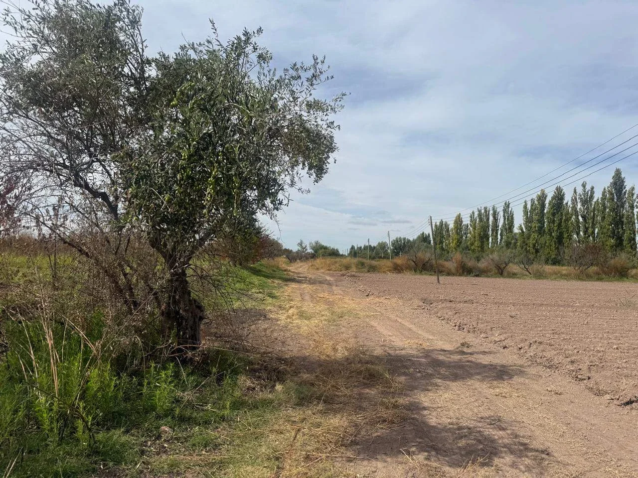 Terreno / Lote en venta de 96000m2 ubicado en Barrancas - Imagen 4