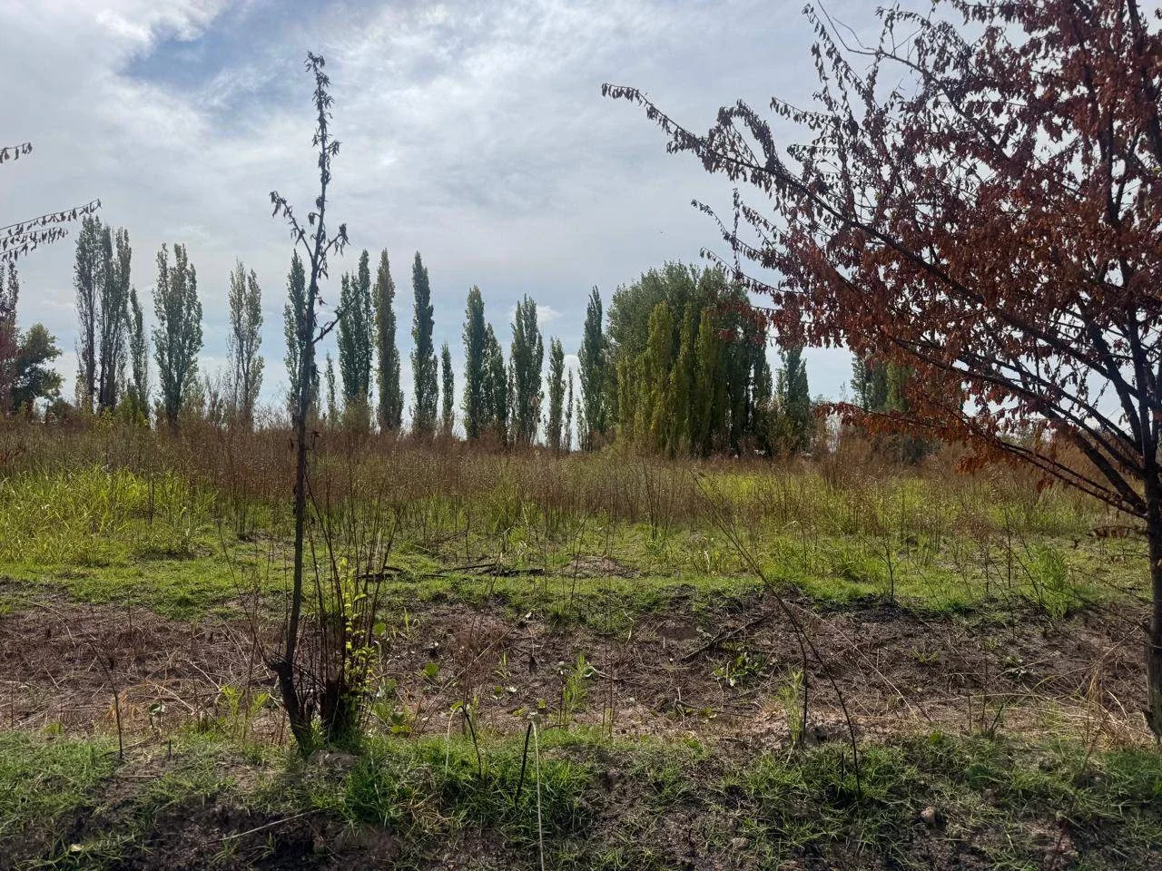 Terreno / Lote en venta de 96000m2 ubicado en Barrancas - Imagen 2