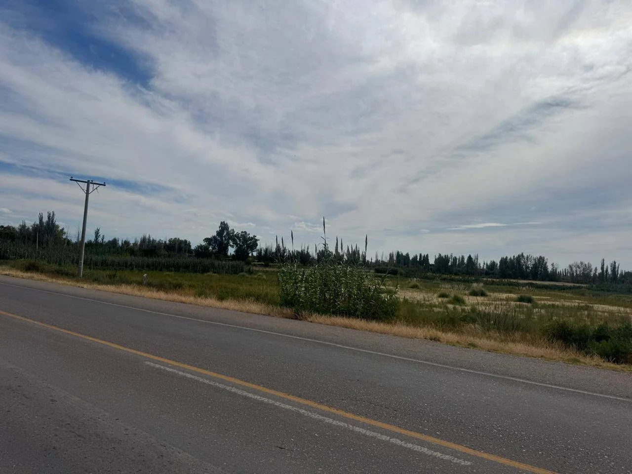 Terreno / Lote en venta de 170000m2 ubicado en Barrancas - Imagen 5