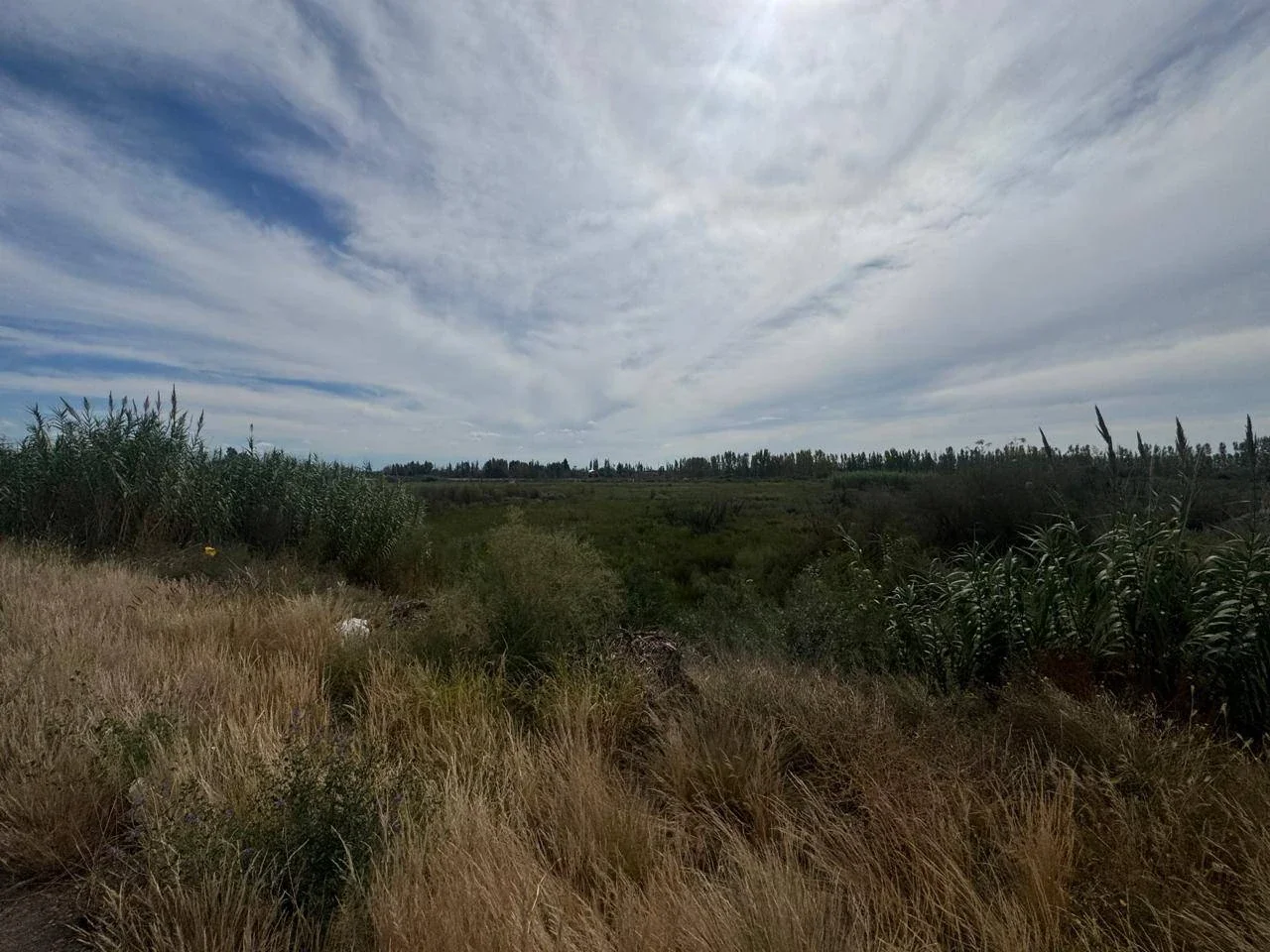 Terreno / Lote en venta de 82200m2 ubicado en Barrancas - Imagen 3