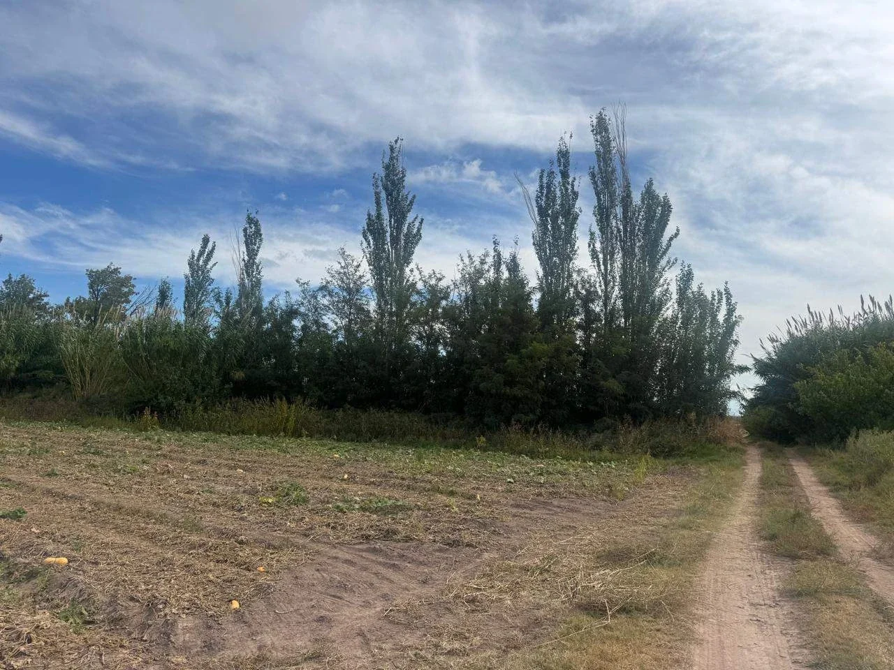 Terreno / Lote en venta de 96000m2 ubicado en Barrancas - Imagen 3