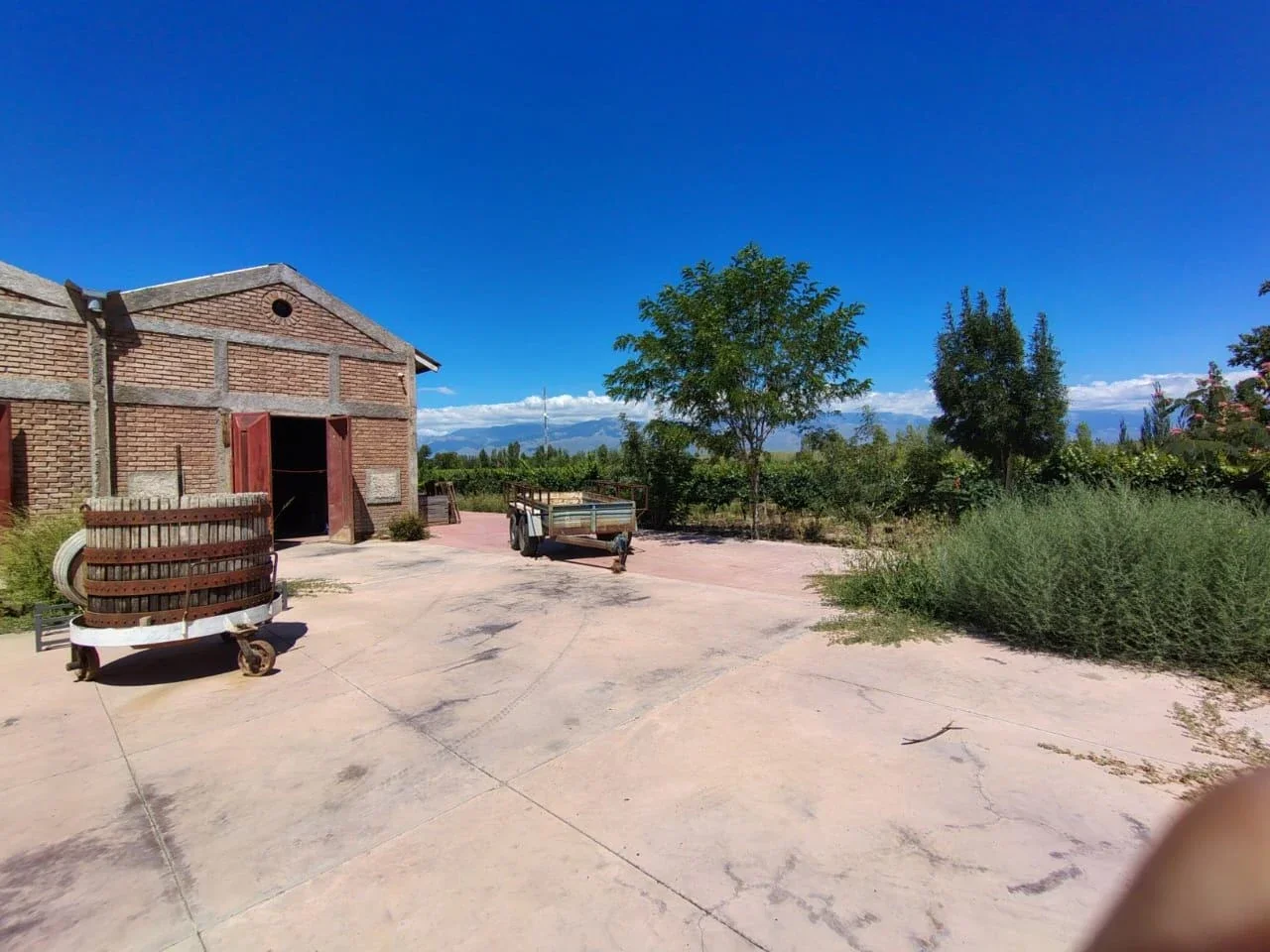 farmstead en Tunuyán - Imagen 5