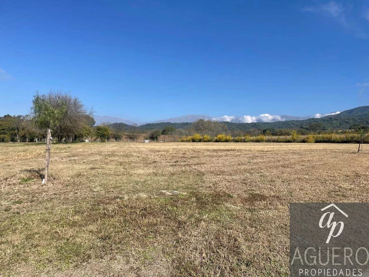 Terreno / Lote en venta de 1668m2 ubicado en San Lorenzo Chico - Imagen 5