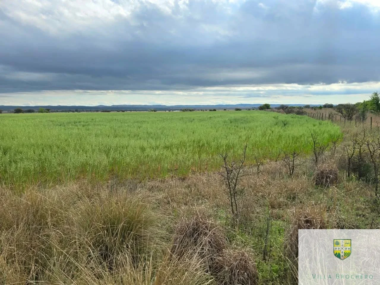Venta de Campo con 10 has de Chacra subre Ruta Provincial 15, Alto Grande C023AG - Imagen 2