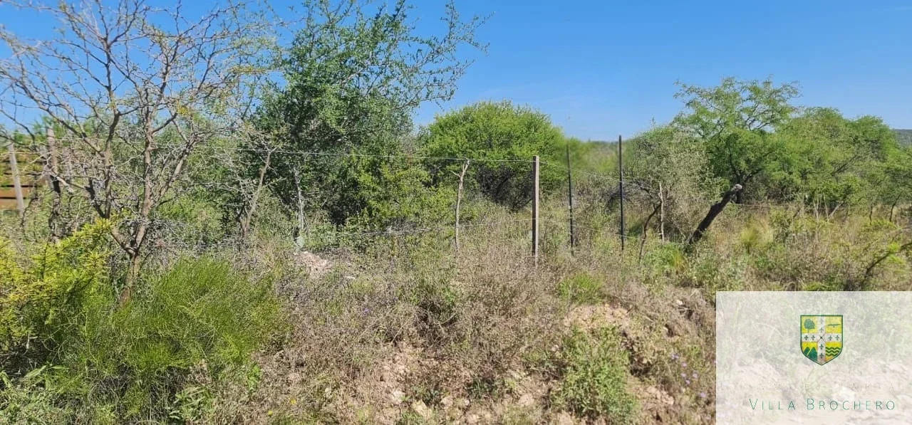 Venta de lote / terreno con 1885.44m2 en Villa Cura Brochero T191CB - Imagen 3