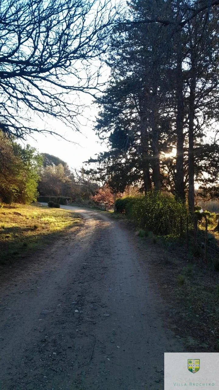 Venta de Lotes / Terrenos en Ambul, excelente ubicación, T180AM - Imagen 4