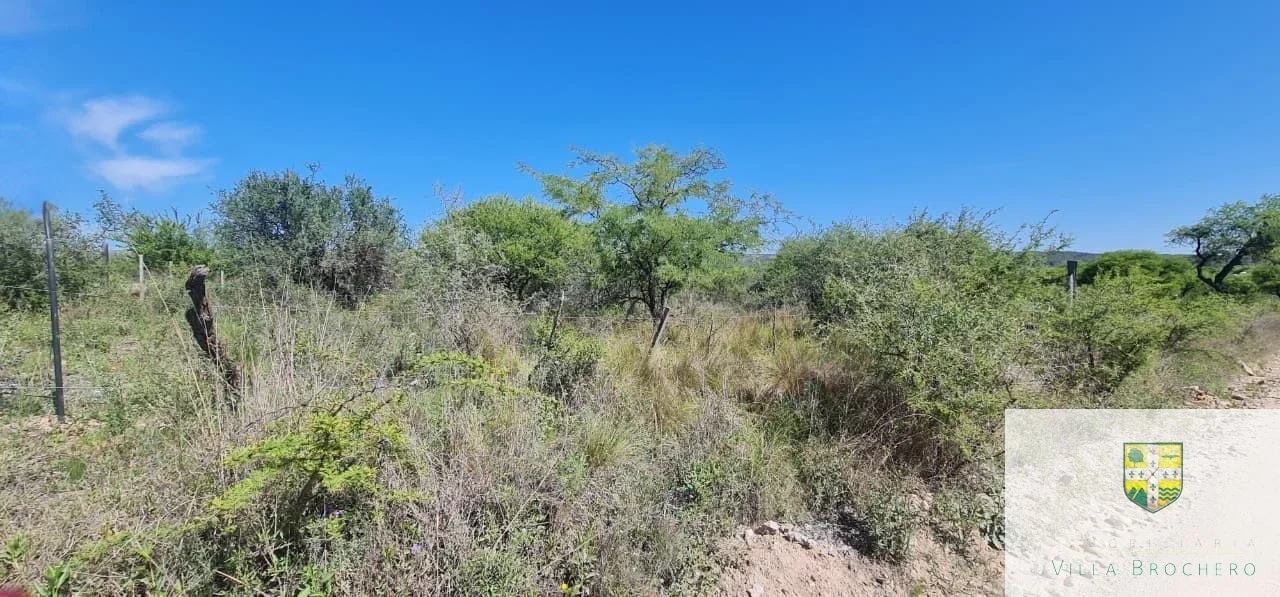 Venta de lote / terreno con 1885.44m2 en Villa Cura Brochero T191CB - Imagen 5