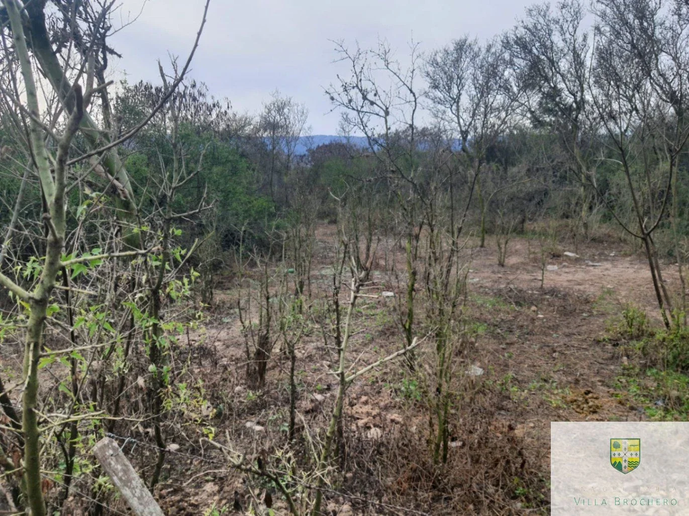 Venta de Terrenos/Lotes ubicados en Villa Cura Brochero con ESCRITURA T183CB - Imagen 1