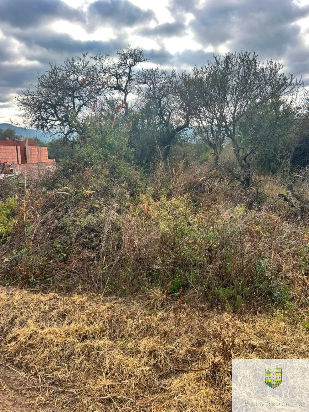 Venta Terreno / Lote de 1120m2 ubicado en San Lorenzo T184SL - Imagen 5