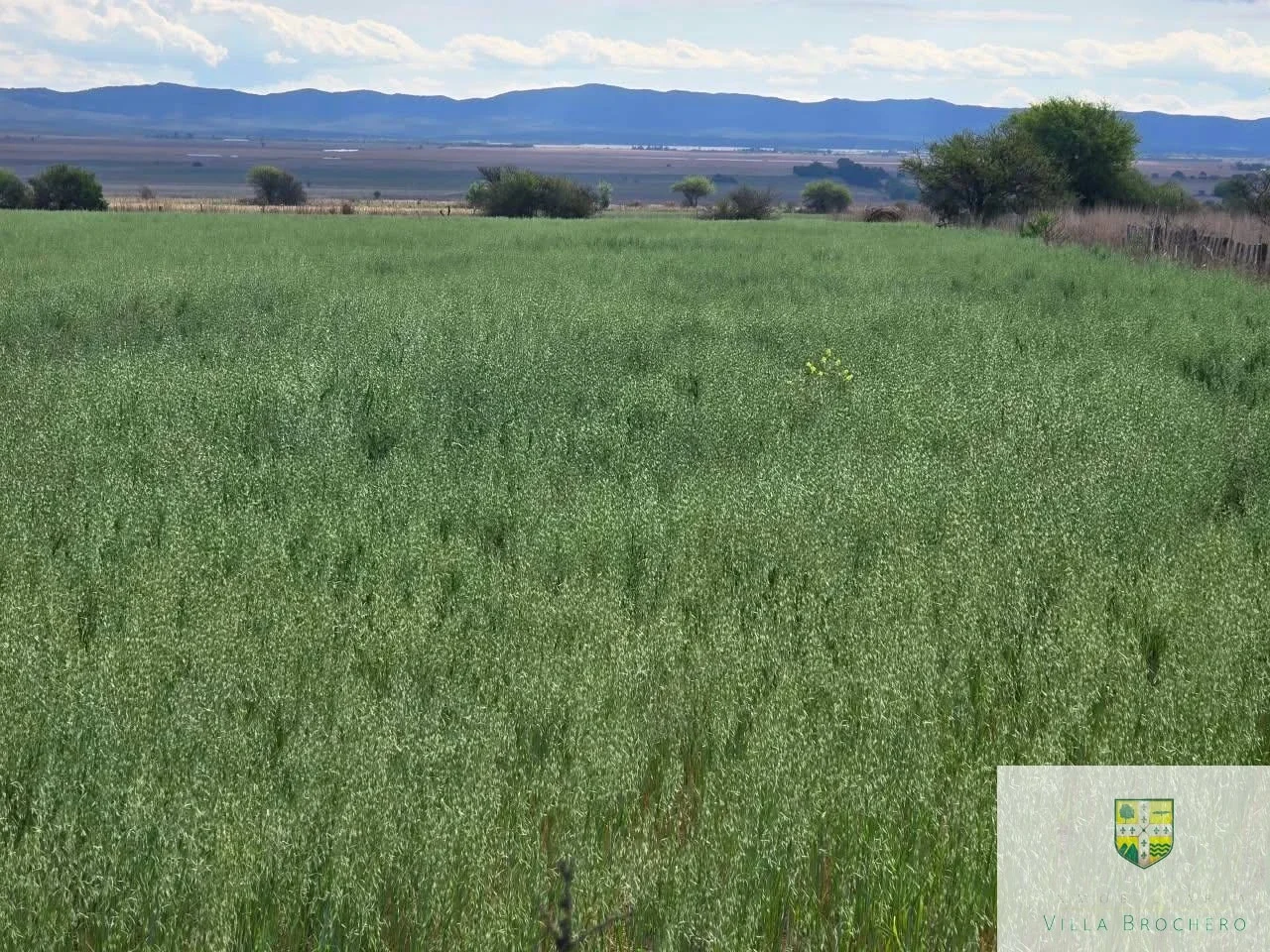 Venta de Campo con 10 has de Chacra subre Ruta Provincial 15, Alto Grande C023AG - Imagen 5