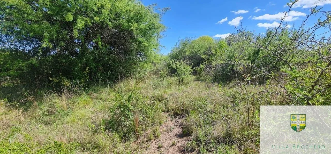 Terreno / Lote en venta de 1000m2 ubicado en San Lorenzo - Imagen 4