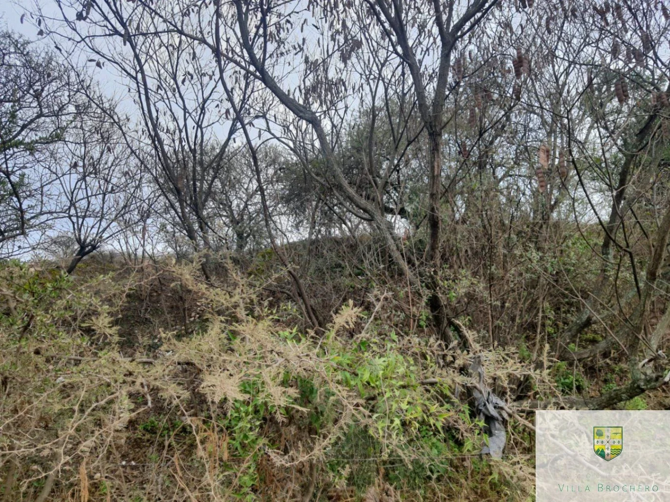 Venta de dos terrenos / lotes calle Sargento Cabral, Villa Cura Brochero T181CB - Imagen 3