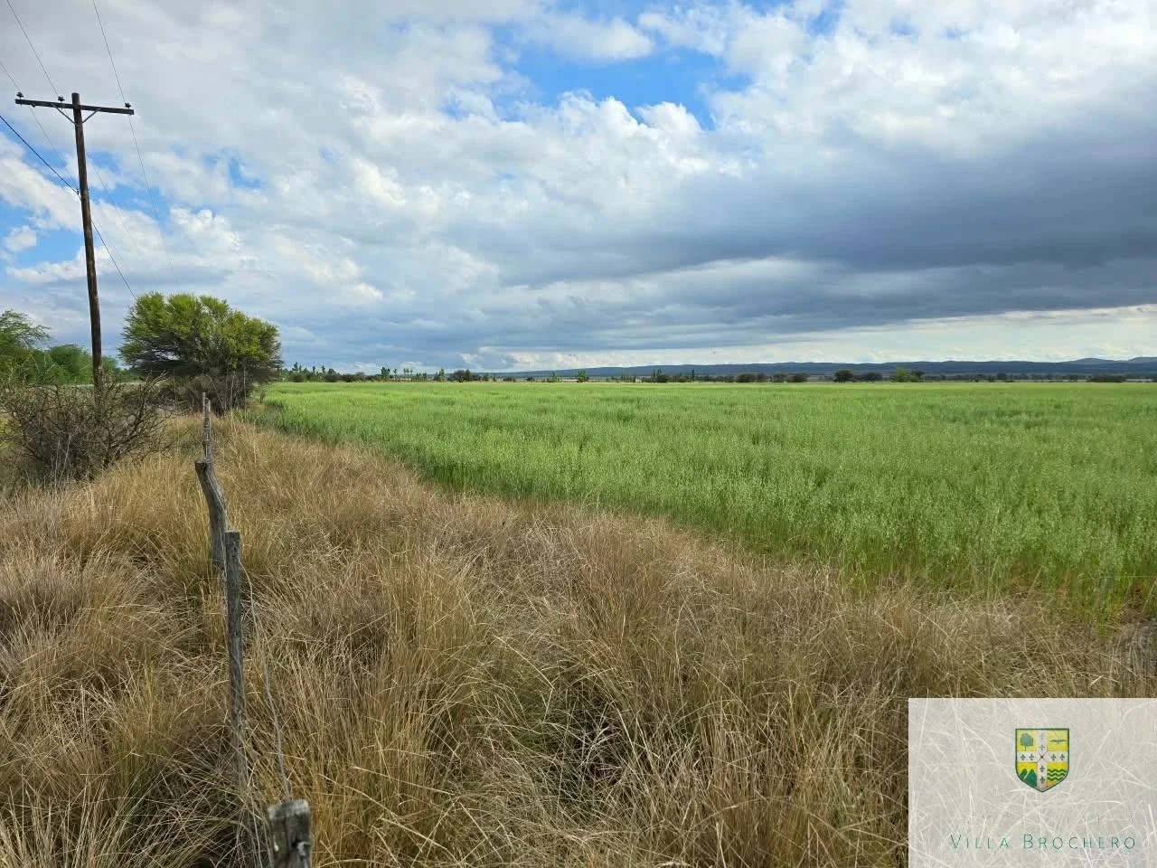 Venta de Campo con 10 has de Chacra subre Ruta Provincial 15, Alto Grande C023AG - Imagen 3