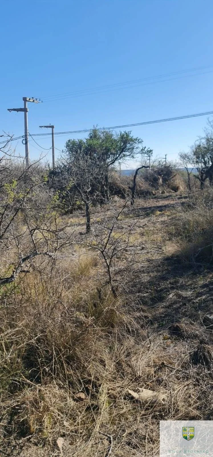 Venta de Terreno / Lote con 1037.59m2 en "El Alto" de San Lorenzo T187SL - Imagen 5