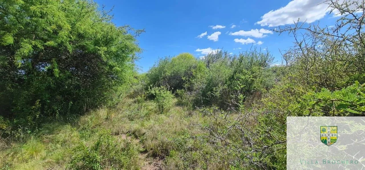 Terreno / Lote en venta de 1000m2 ubicado en San Lorenzo - Imagen 3