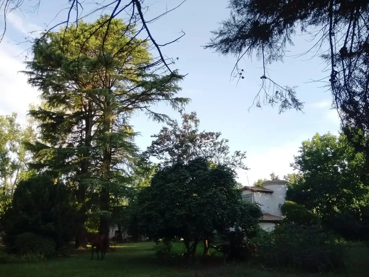 Casa quinta 4 amb en venta de 5996m2 ubicado en General Rodríguez - Imagen 3