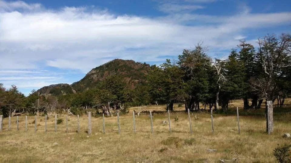 Campo en venta de 156 HECTAREAS ubicado en Frontera de Río Pico - Imagen 2
