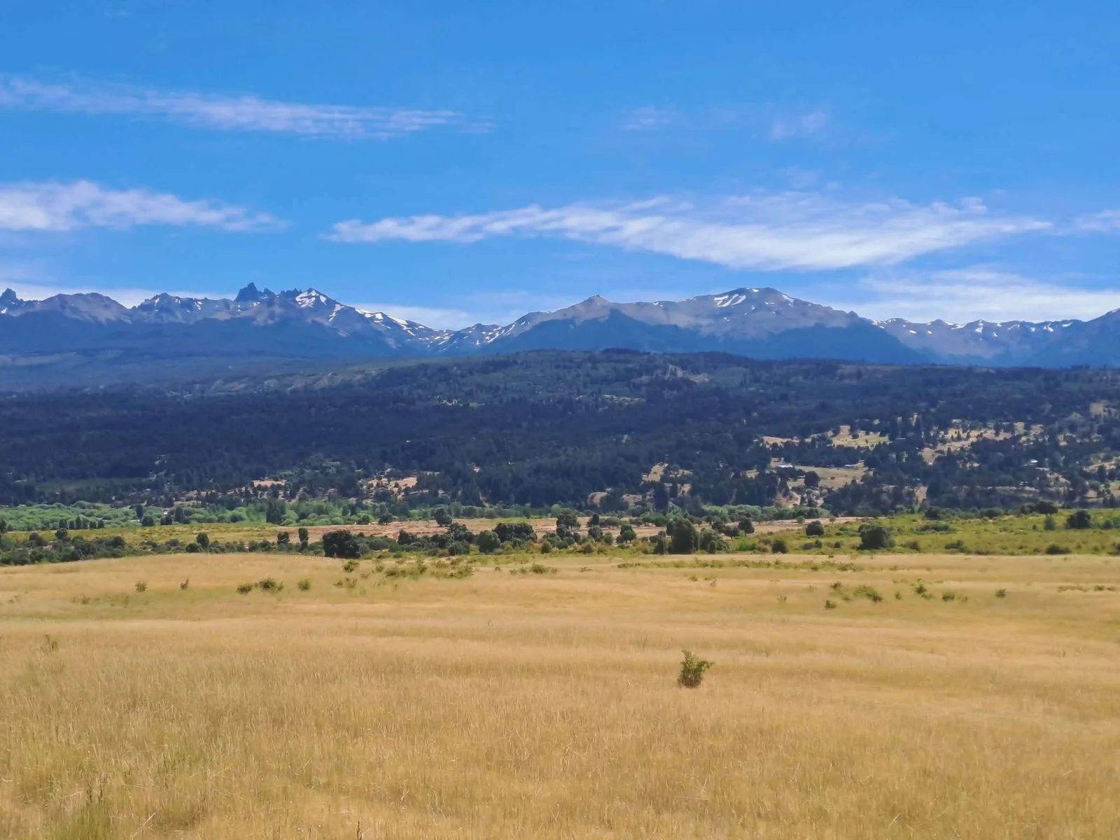 Campo en venta de 156 HECTAREAS ubicado en Frontera de Río Pico - Imagen 3